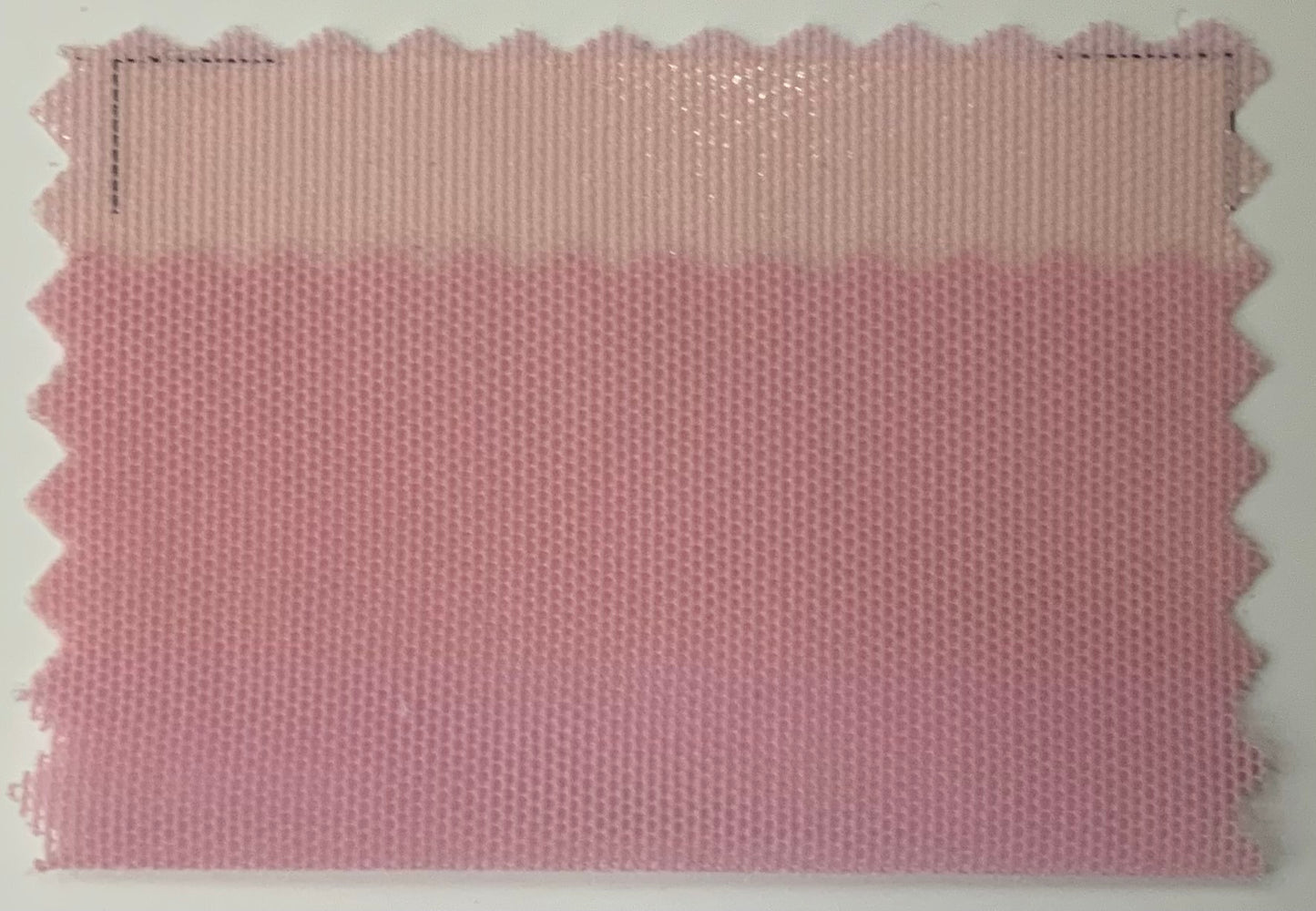 RETE Elastica COLORATA Italiana