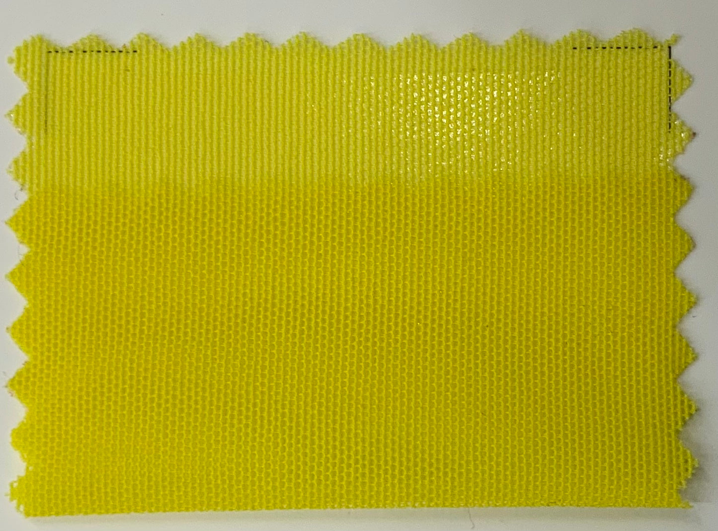 RETE Elastica COLORATA Italiana